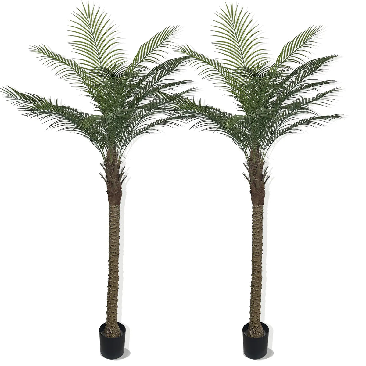 Tall Artificial Palm Trees In Black Pots, Pair